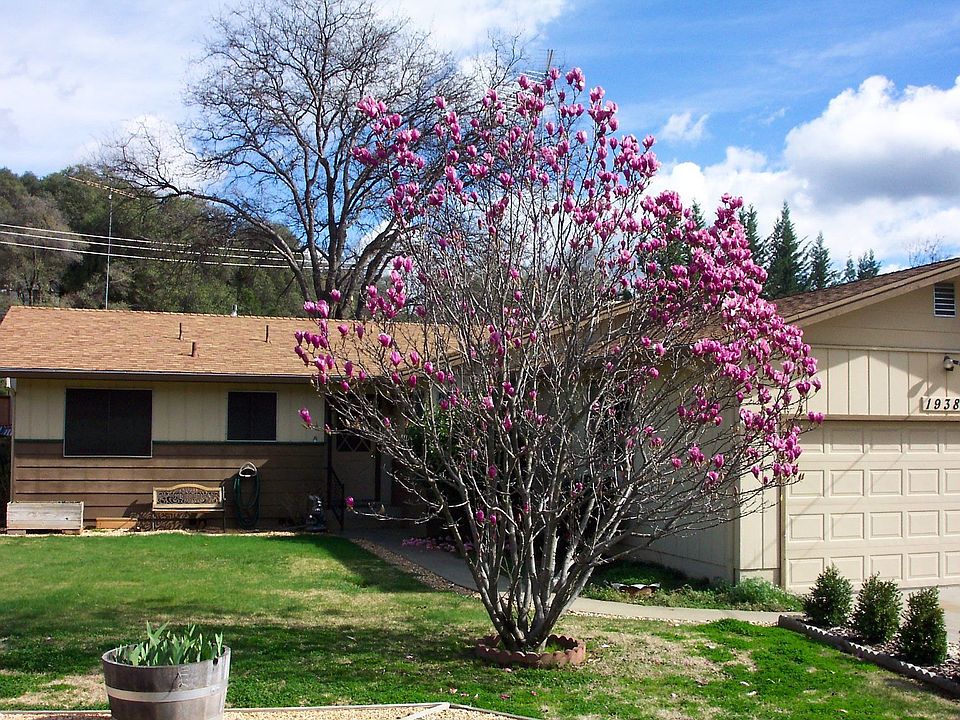 1st image of 19389 Hillsdale Dr