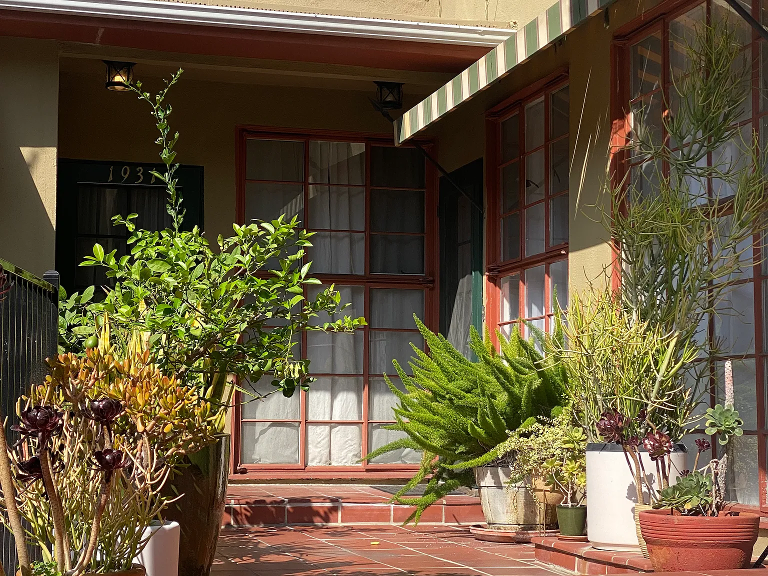 2 bed, 1000 sqft, $3,600 — Photo 2
