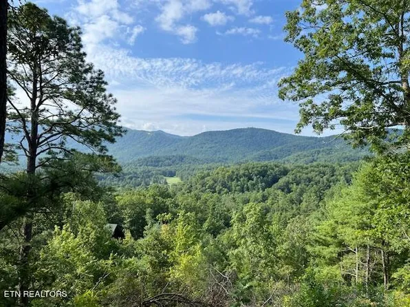Tolliver Trl, Townsend, TN 37882