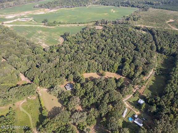 2nd image of 1194 Tom Kyzar Rd