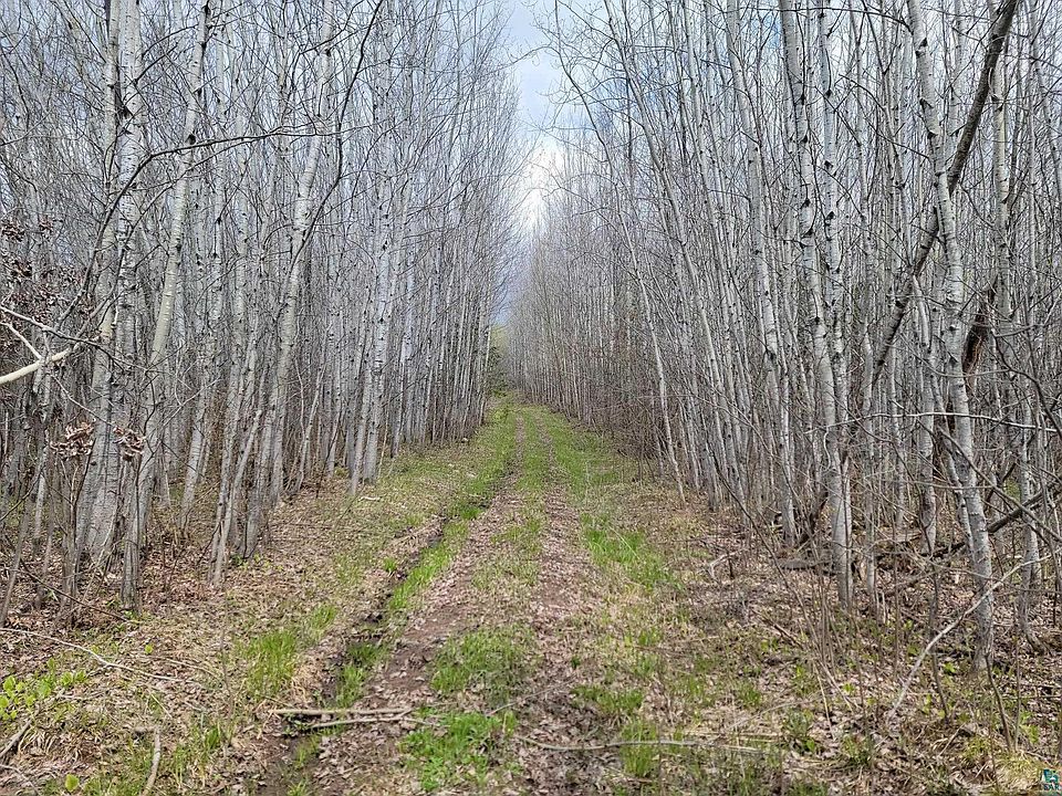 1st image of 20X Sled Dog Trl