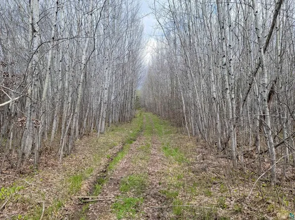 20X Sled Dog Trl, Hovland, MN 55606