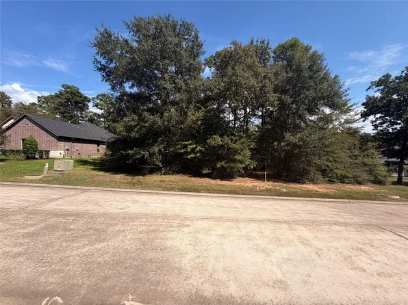 313 Pine Brook Dr, Montgomery, TX 77356