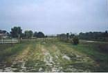 2nd image of 3252 W Cattle Ln
