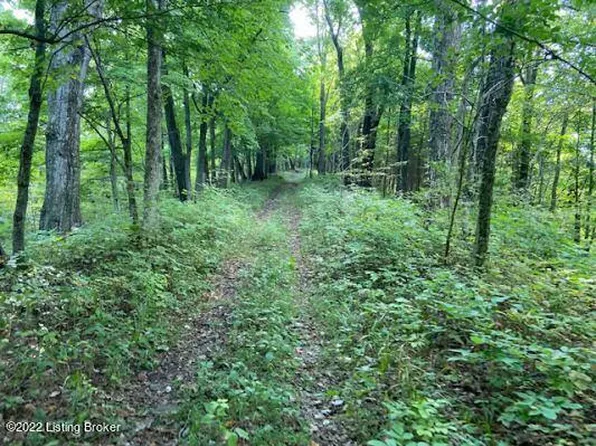 47 Old Moxley Rd, Worthville, KY 41098