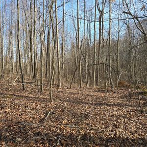 LOT 4 York Hwy, Hilham, TN, 38568
