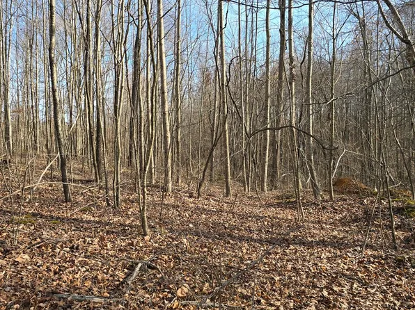 LOT 4 York Hwy, Hilham, TN 38568