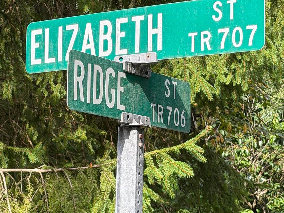 1st image of 0 Cornor Of Elizabeth & Ridge St