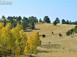 86 County Rd, Victor, CO 80860