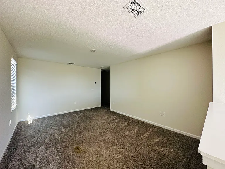 2855 Alder Berry Blvd — Photo 18
