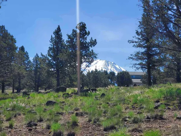 9-2 Golden Hill Dr Lot 266, Weed, CA 96094