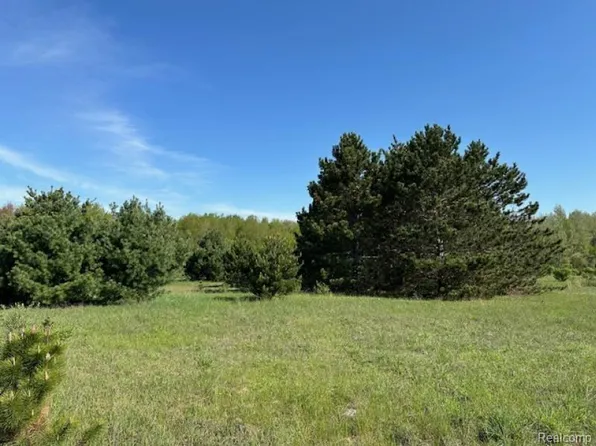 0 Ambrose Rd Parcel B, Mayville, MI 48744