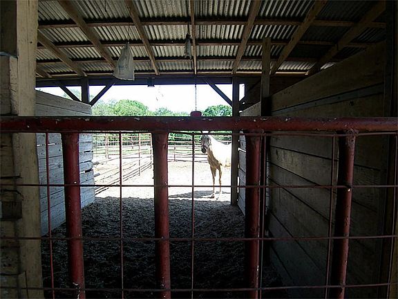 Stalls with turn outs