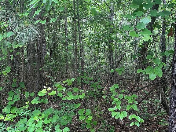 4th image of 2426 Ore Bank Rd
