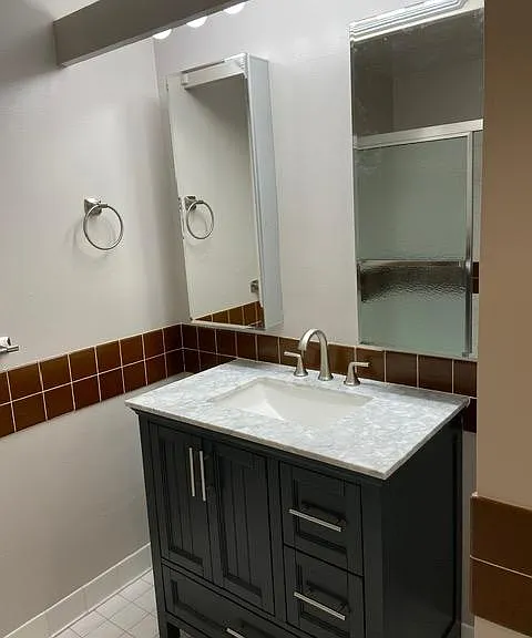 Bathroom vanity and medicine cabinets.