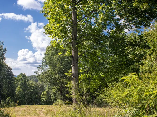 146 Ducks Nest Rd, Turtletown, TN 37391