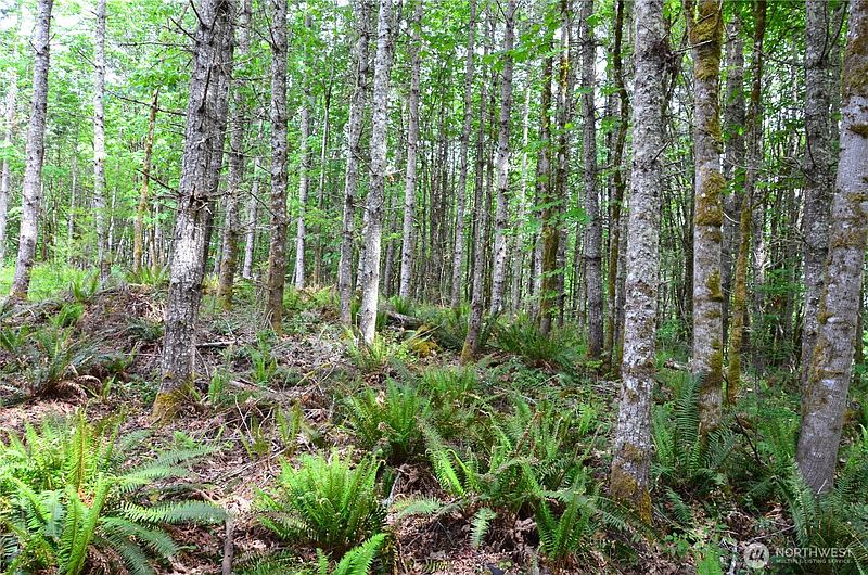 4th image of 110 Country Ridge Road
