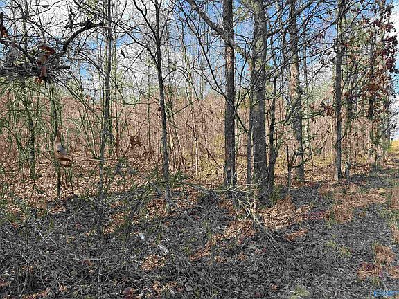 3rd image of 4 & 5 Estes Rd