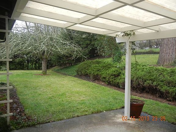 Back yard