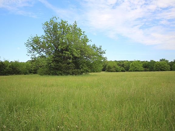 4th image of 4616 Halls Hill Pike