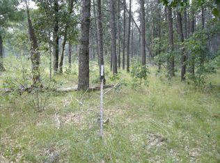 V L 9 Mile Rd, Irons, MI 49644