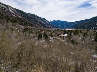 165 Roaring Fork Dr, Aspen, CO 81611