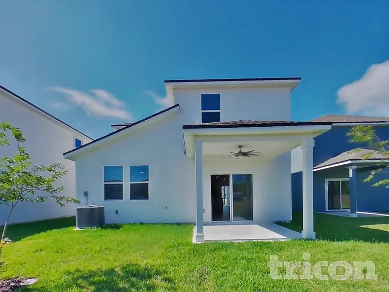 64 Brazil Nut Cir — Photo 16
