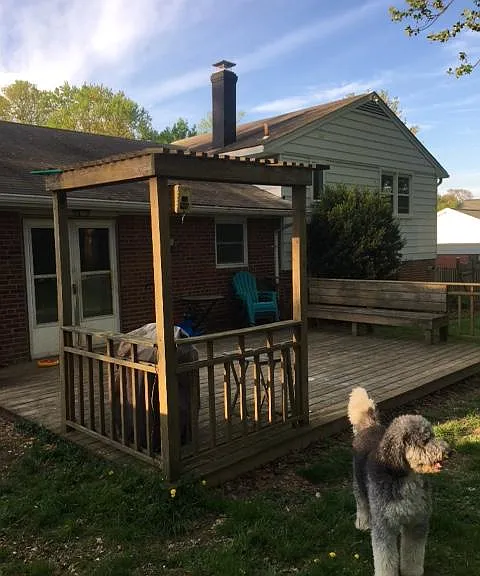 Backyard 3