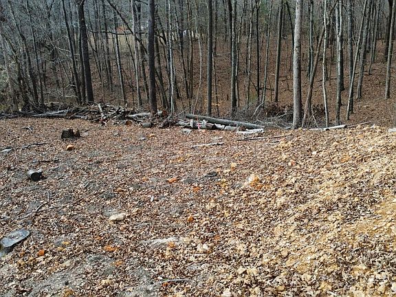 2nd image of 111 Scenic Dr Lot 26