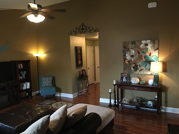 Living room vaulted ceiling