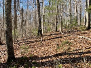 0 Mine Ridge Rd, Mountain City, TN 37683