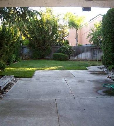 Back yard