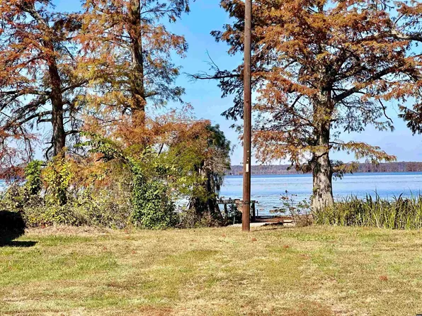 394/384 W Lakeview Dr, Hornbeak, TN 38232