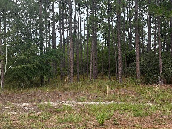2nd image of Lot 3 Crystal Road LOT 3