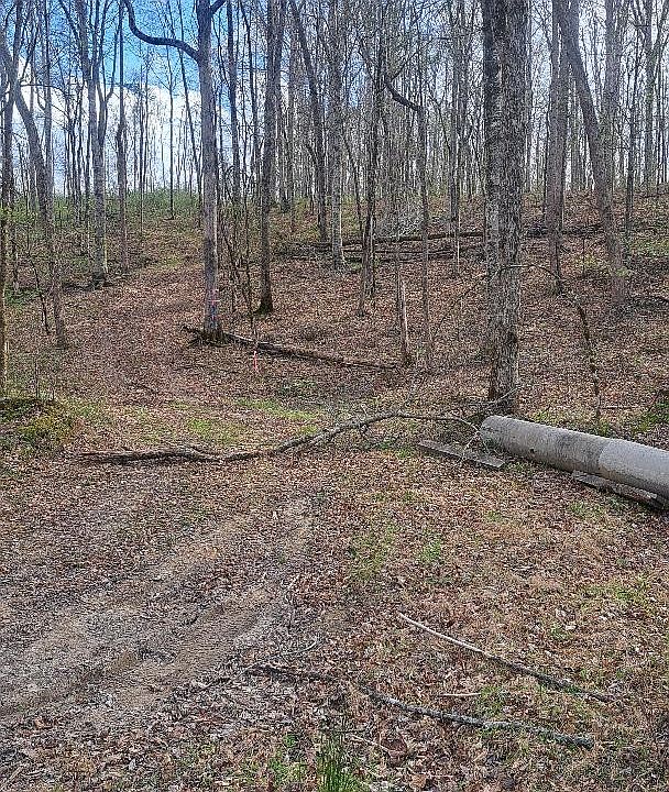 2nd image of 0B Napier Rd
