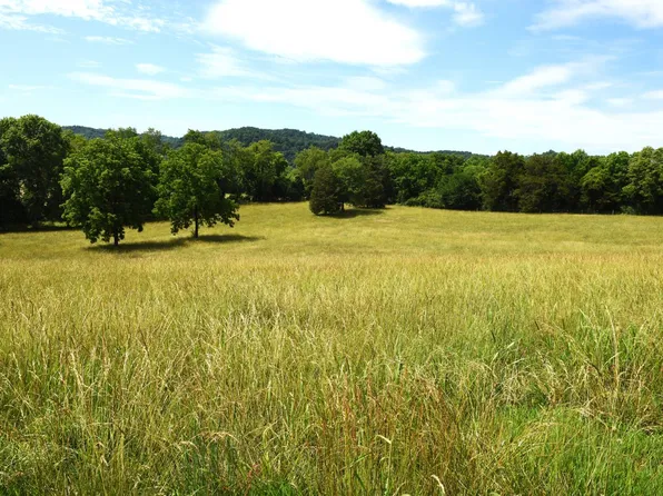 6295 Irish Bottom Rd Tract 3, Burkesville, KY 42717