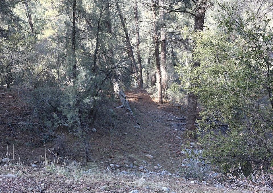 1st image of 2516 Woodland Dr