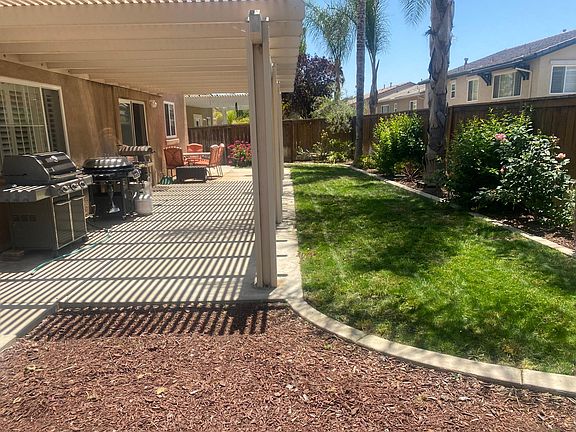 Back yard with afternoon sun