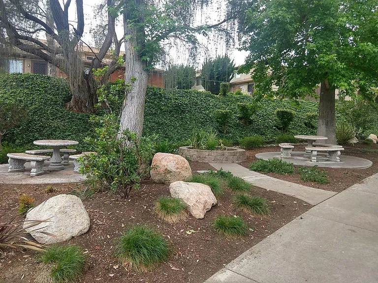 7843 Camino Raposa — Photo 19
