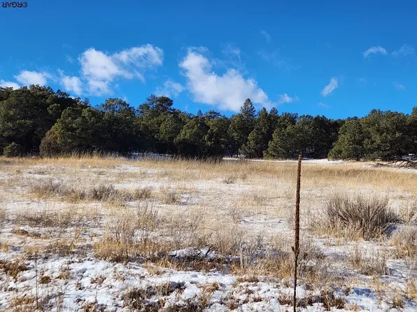 253 Nels Dr, Cotopaxi, CO 81223