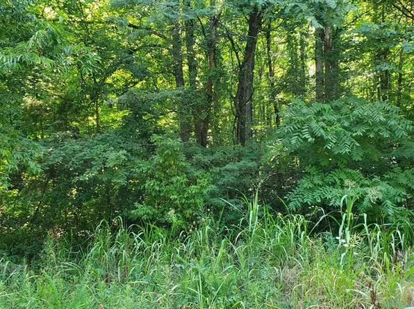 0 Highway 58, Mountain View, AR 72560