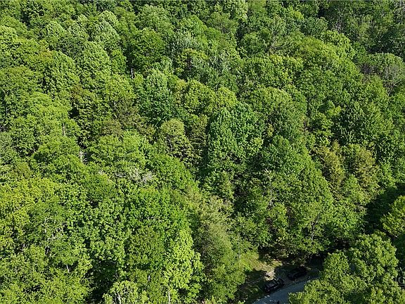 5th image of TBD Black Bear Trail