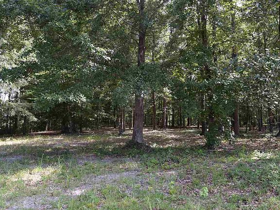 3rd image of 2319 Bentbill Circle Lot 26 The Dye Estates at Barefoot Resort