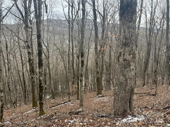 234-235 Hanging Rock Rd, Mars Hill, NC 28754