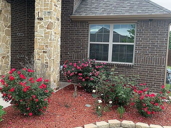 4th image of 644 Teakwood Dr