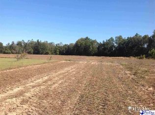 S Midway Hwy, Johnsonville, SC 29555