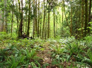 Olympic Canal Addition 8, Brinnon, WA 98320