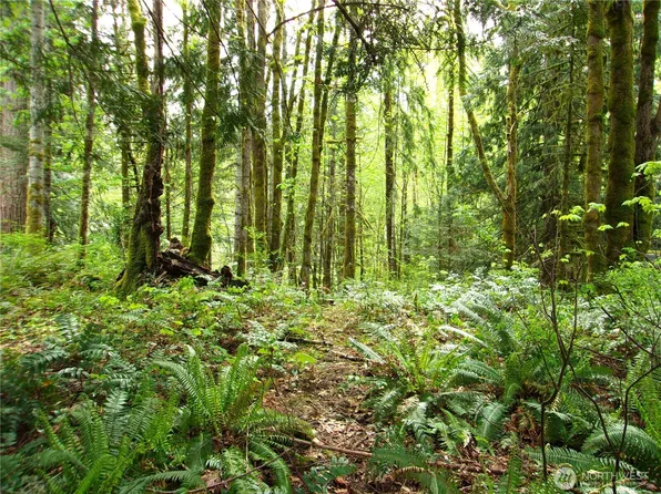 0 River Road, Brinnon, WA 98320