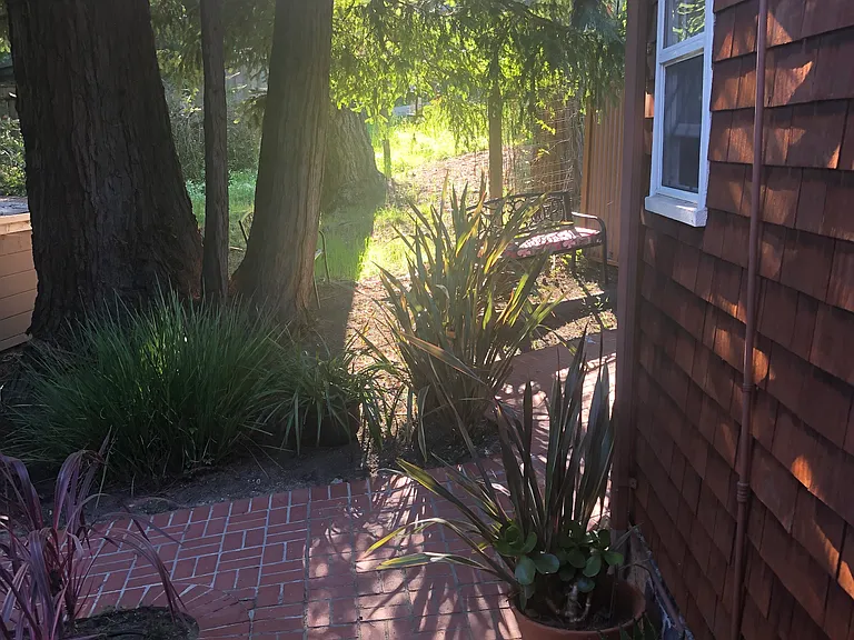 346 Corte Madera Ave #4 — Photo 4
