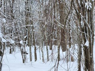 N6883 Shamrock Lake Rd, Hawkins, WI 54530